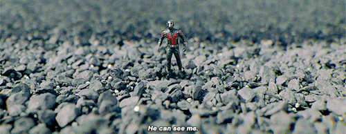 dailyteamcap: Abort, Scott! Abort now!