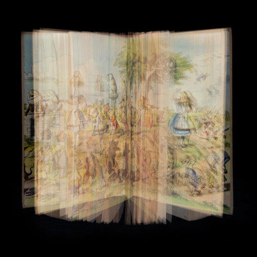 photojojo: Book lover and amateur photographer Ellen Cantor came up with a novel way to sh