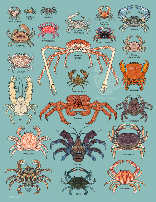 Do You Love The Color Of The Crab?