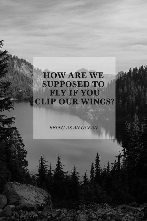amityxcore:   Being As An Ocean // The People Who Share My Name My Edit 