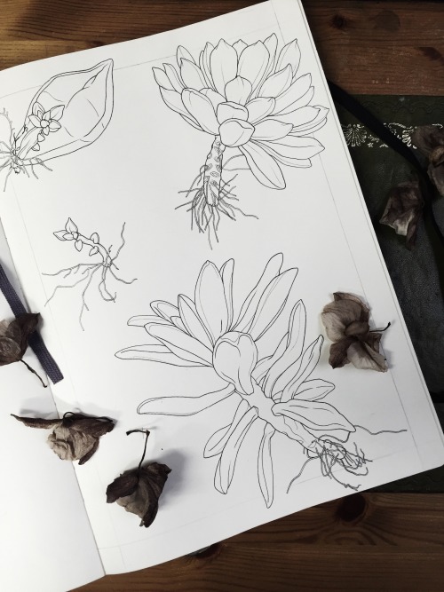 Simple succulents.