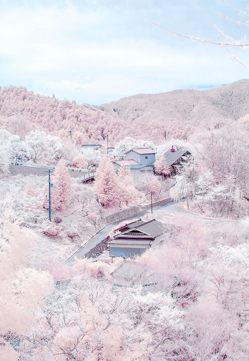 flower-funeral:  Yoshino, Nara, Japan. by adult photos