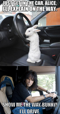 alice-is-wet:  thebestblogintown:  I feel like the world is a better place now that I’ve combined these pics.  ~Alice hops into the back of the van, giggling~  chuckle