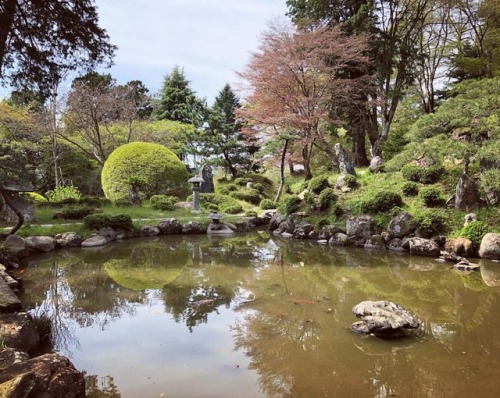 ⛳️1175. 煙雲館庭園 Enunkan Garden, Kesennuma, Miyagi 3.11。あの日のことを思い返す一日。 昨年初めて行った気仙沼の庭園を紹介。 煙雲館は仙台藩 #伊達家 