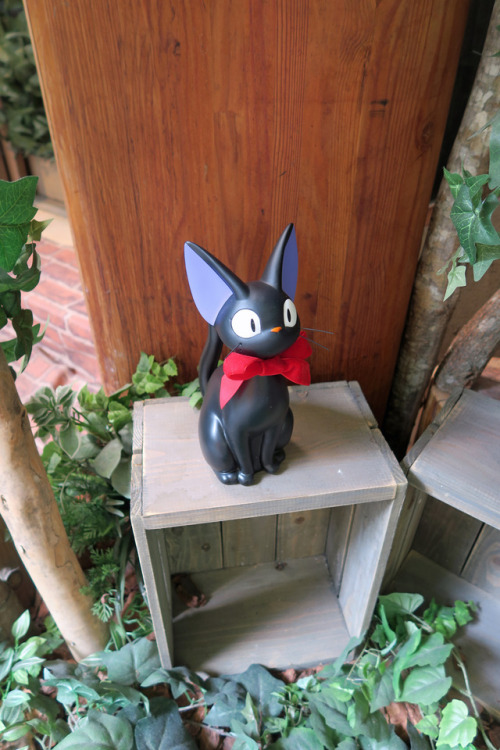 ninetail-fox: a garden ,Kyoto