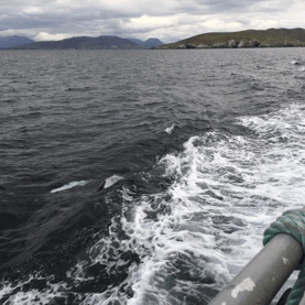 Yesterday I explored the Cleggan area of Connemara in a different way – by horseback. And let&