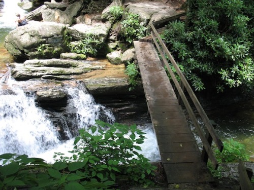 This is skinny dip falls :) the waterfall that roars ½ a mile after the dragon tree. The lands of Western NC are the closest thing I’ve felt to home. Those mountains hugged me during a time in my life that I really needed it.