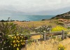 leahgardner-art:Pictures of Malibu. Oil on panel, 2021 and 2022 