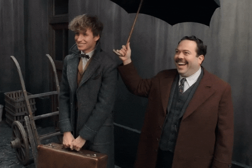 Newt Artemis Fido Scamander