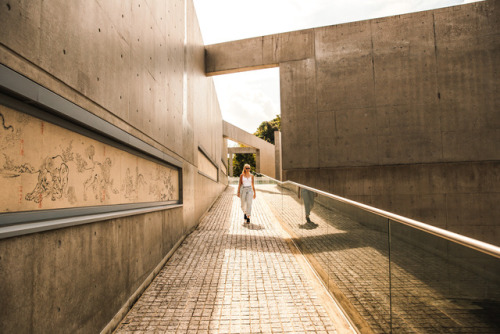 Monday 9th October 2017. 11:00 Kyoto Japan.We visited The Garden of Fine Arts which is about a 20 mi