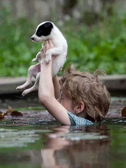 seaside-child:  A heartbreaking image of a boy saving his friend from the floods.