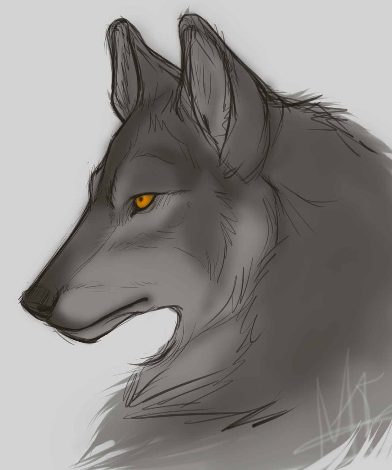 myrrdesketchbook:  One thing I’ve never known how to draw is wolf. So, I picked