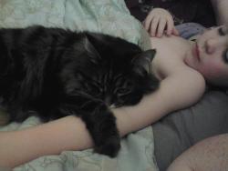 awwww-cute:  My 13 year old cat likes to