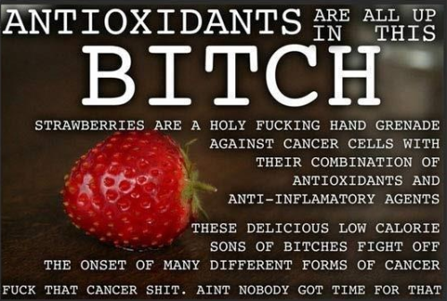 isthequestiontheanswer:  Thug Kitchen - hilarious. I laughed so hard I almost dropped my chickpea and broccoli burrito.   LMAO. Perfect. 