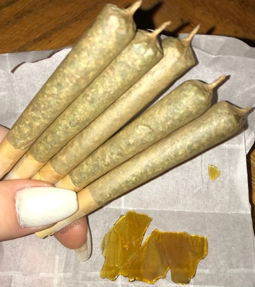 kissnecks:  cone joints of Platinum Kush & Bubba Kush 🍃 and some yummy CandyLand shatter 🍭😋