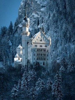 heyfiki: Neuschwanstein Castle, Bavaria, Germany. 