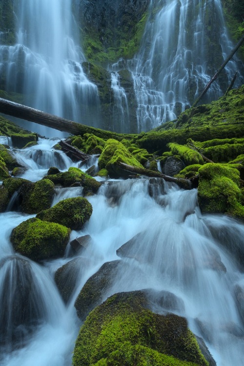 sublim-ature: Proxy Falls, OregonMajeed Badizadegan