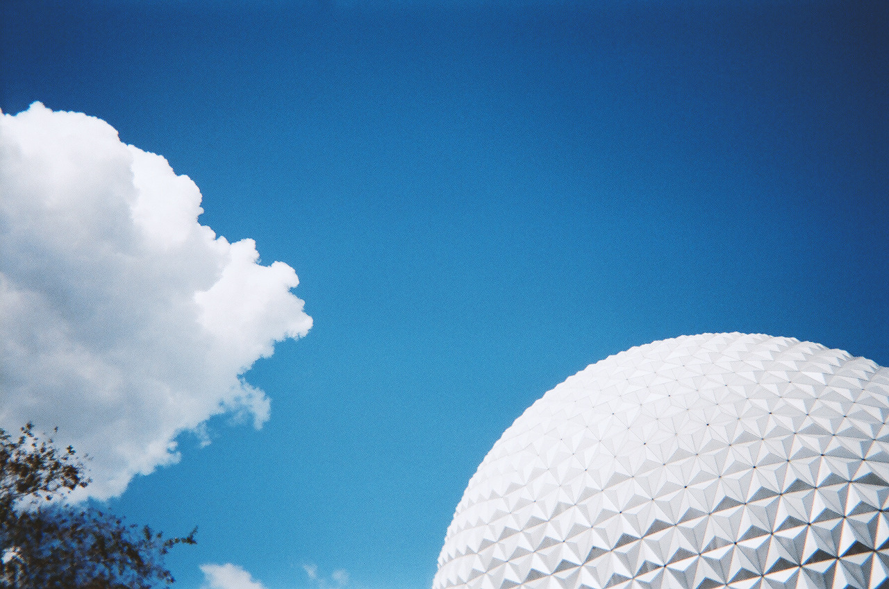 friendshipboats:  Walt Disney World seen through a disposable camera    One day