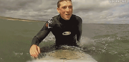 reblog-gif:  other funny gifs - http://gifini.com/ 