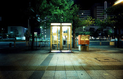 wiverns:  Night of Fukuoka (22) by raota on Flickr. 