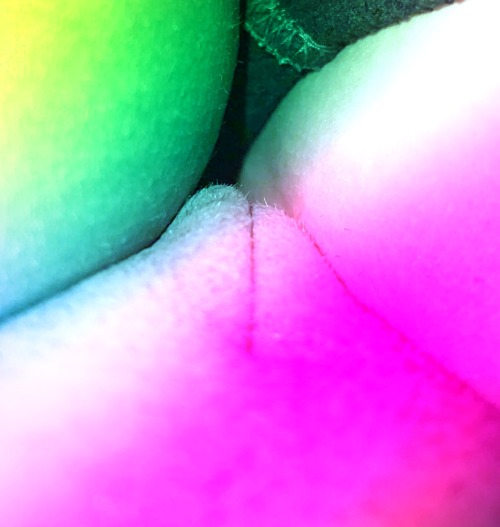 Reblog If You Would Spread Them Apart And Lick Me