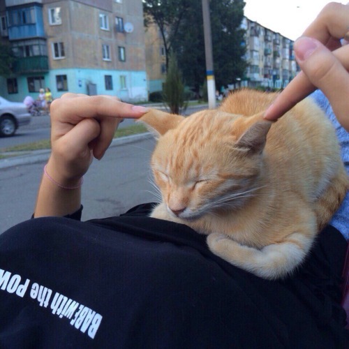 superkursunaskr - BABABABABA