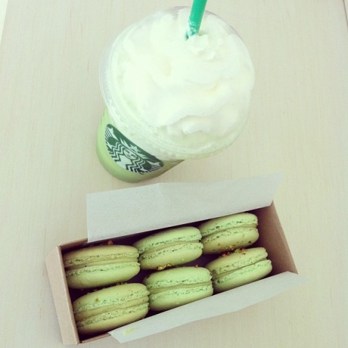 peachista:  ✩ more posts here ✩  ❀ rosy ❀