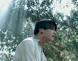 Parallels :: Seokjins Dove || Jungkook :: ON