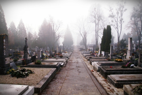 vanilleclair:  Mirogoj cemetery in Zagreb, Croatia 