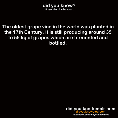 did-you-kno:  Source