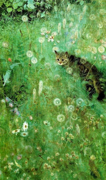 daughterofchaos:Bruno Liljefors (1860 - 1939), Cat in the Summer Meadow