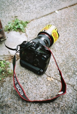 dakotagordon:  my other camera 