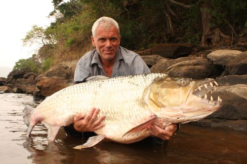 Piranha fish attack human