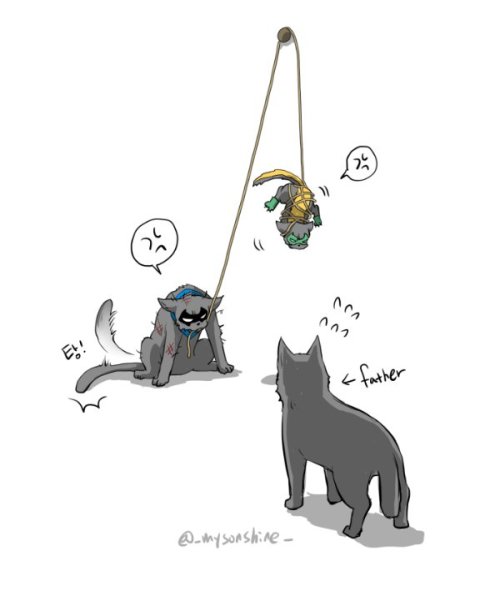 mysonshineblr: Cats hate lemons :-)