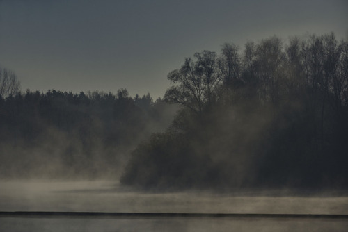 morning mist at the lake