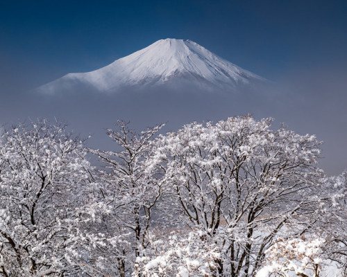 yorunosei:山中湖　パノラマ台の上 by Shinichiro Saka