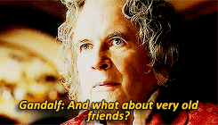 goodoldmoon:  Fellowship of the Ring // Battle of the Five Armies 
