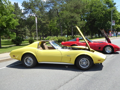 fromcruise-instoconcours:T-top C3 Corvette