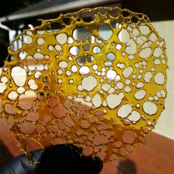 johannesnw:  Pink 2.0 shatter