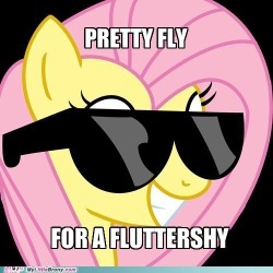 asknavypony:  She so fly  X3