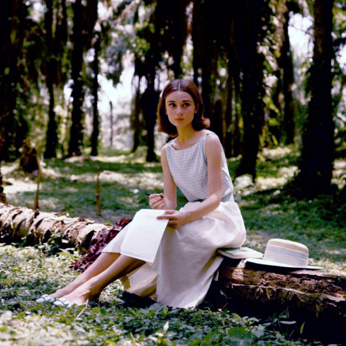 rareaudreyhepburn:  Audrey Hepburn photographed by Leo Fuchs in the Belgian Congo for the film The Nun’s Story, 1958.   