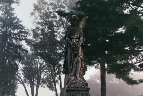 dementium-rabbit: A foggy cemetery By Kaylah. Cleveland