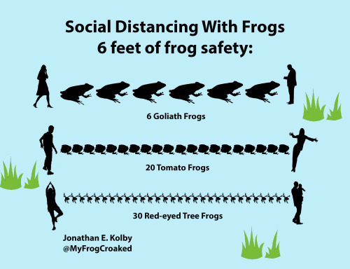 myfrogcroaked: Some people don’t use “feet” as a unit of measurement so here are s