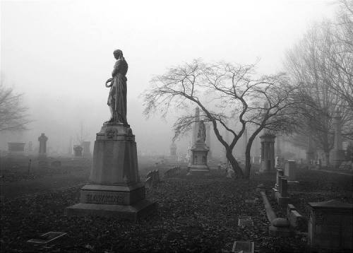 •merciless gods•