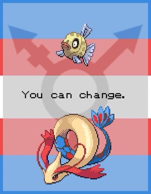 snugglemeplease: singing-at-midnight: Inspirational pokemon photos. @n0thingwhatever