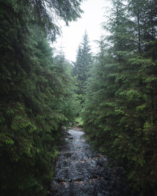 utwo:Forest Life by :© James Lloyd Cole adult photos