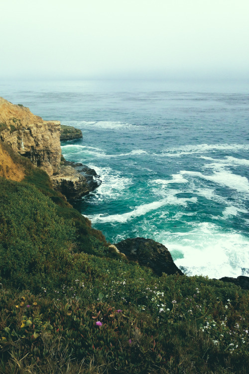 leaberphotos: “ the ocean blue ”