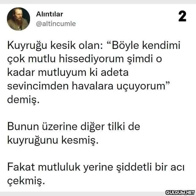 (Kaydırmalı)    Alıntılar...