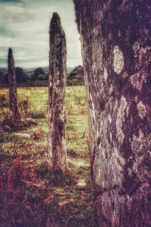 Ballymeanoch Standing Stones, Kilmartin Glen, Argyll, Scotland, 14.7.18.