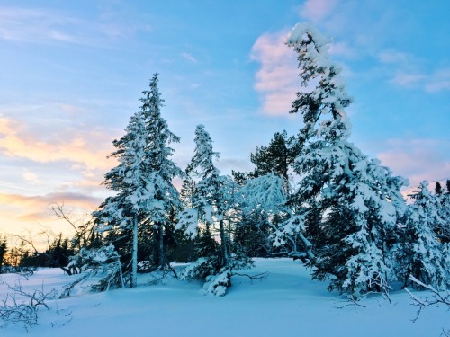 Norway really has the most beautiful winter landscapes!